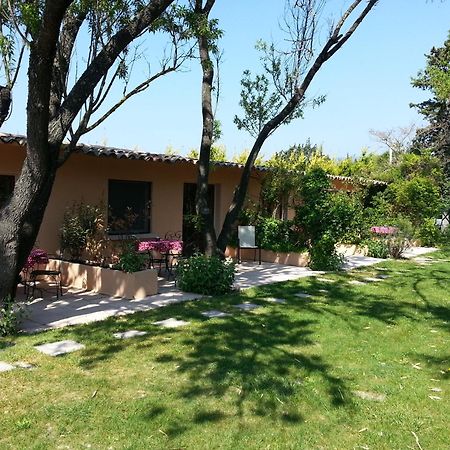 Mas La Provence Bed and Breakfast LʼIsle-sur-la-Sorgue Eksteriør billede