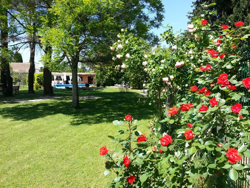 Mas La Provence Bed and Breakfast LʼIsle-sur-la-Sorgue Eksteriør billede